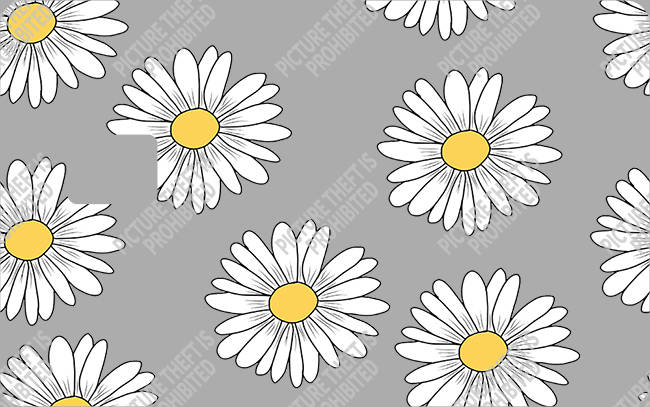 Bank  Card Sticker-BC-3657